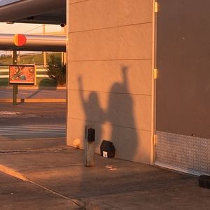 Meet your Posher, Nina